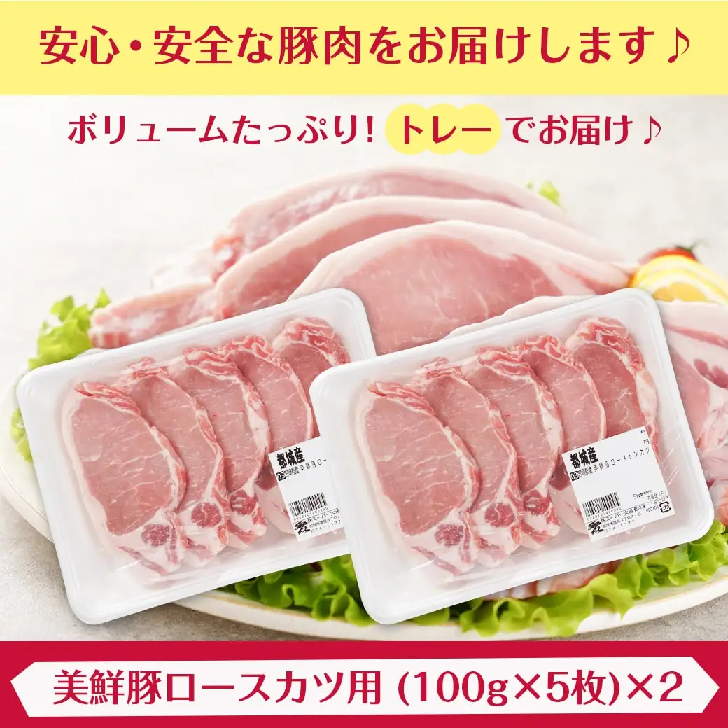 都城美鮮豚ロースカツ用10枚セット〔AA-5402〕_(都城市) 豚 豚ロース 100g×5枚 合計10枚 とんかつ