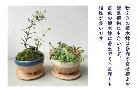 【益子焼】植木鉢セット(植木鉢とトレーのセット)?2セット｜多肉植物 寄せ植え 苔玉 ミニ盆栽 癒しのアイテム（BU001）