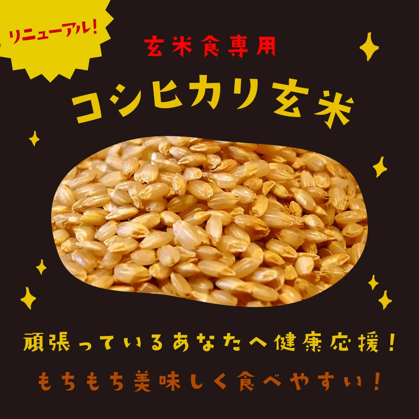 【パックご飯】 玄米 国産こしひかり 一分づき 120g 計24個 パックご飯
