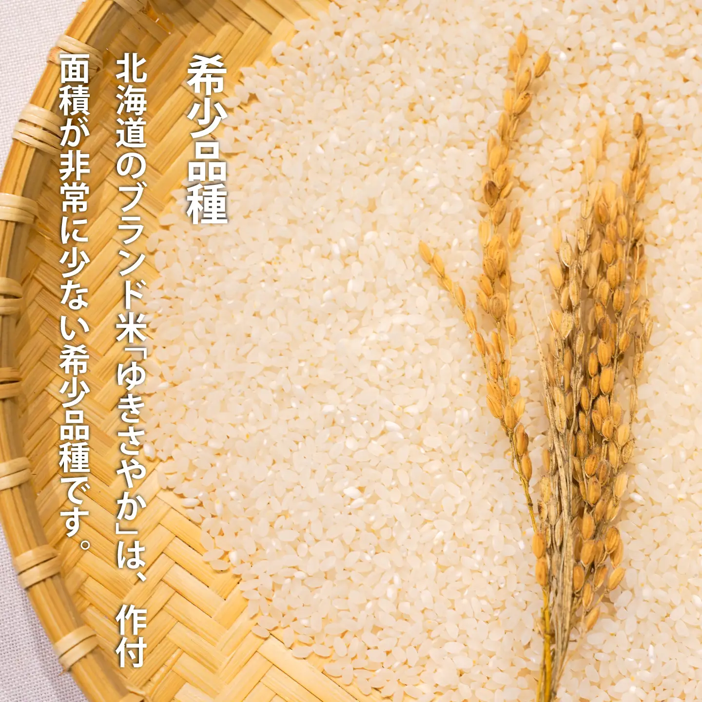 【令和6年産】ゆきさやか 10kg×3回コース〈定期便〉精米 北海道当麻町 長谷川農園【U-009】