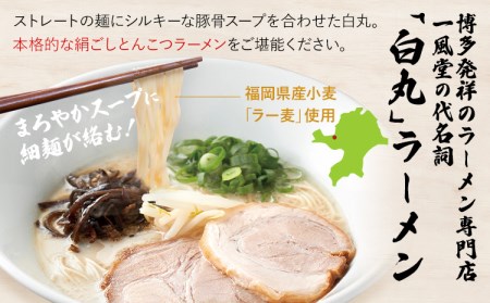 豚骨ラーメン 一風堂 8食 ソース付き ラーメン