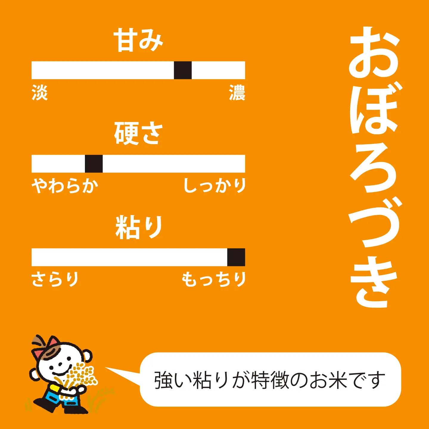 【令和6年産】おぼろづき 10kg×6回コース〈定期便〉精米 北海道当麻町 長谷川農園【U-020】