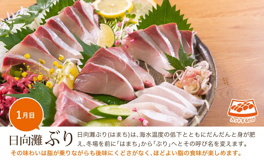 【北海道・離島配送不可】＜定期便・全3回(連続)＞旬の鮮魚(3ヶ月コース)お刺身   海鮮  真空パック 【UZ-01】【請関水産】