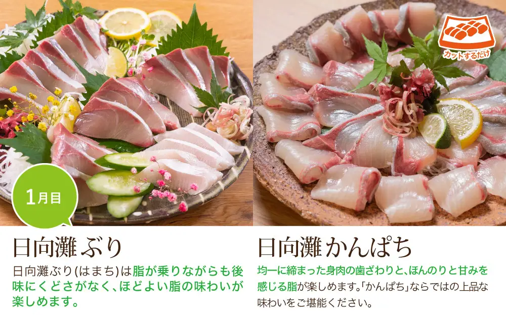 【北海道・離島配送不可】＜定期便・全3回(連続)＞旬の鮮魚(3ヶ月コース)刺身 柵 【UZ-02】【請関水産】