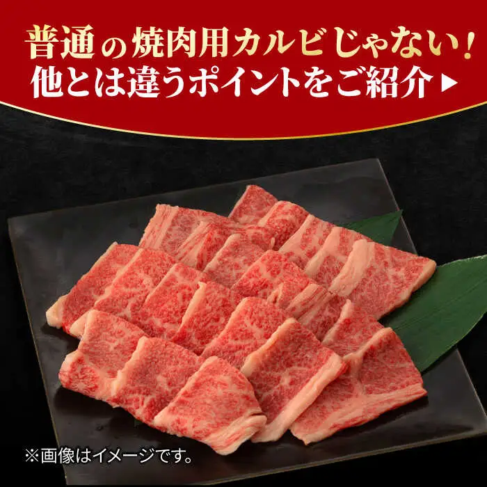 佐賀牛 カルビ 焼肉用 500g  吉野ヶ里町/NICK’S MEAT[FCY010]