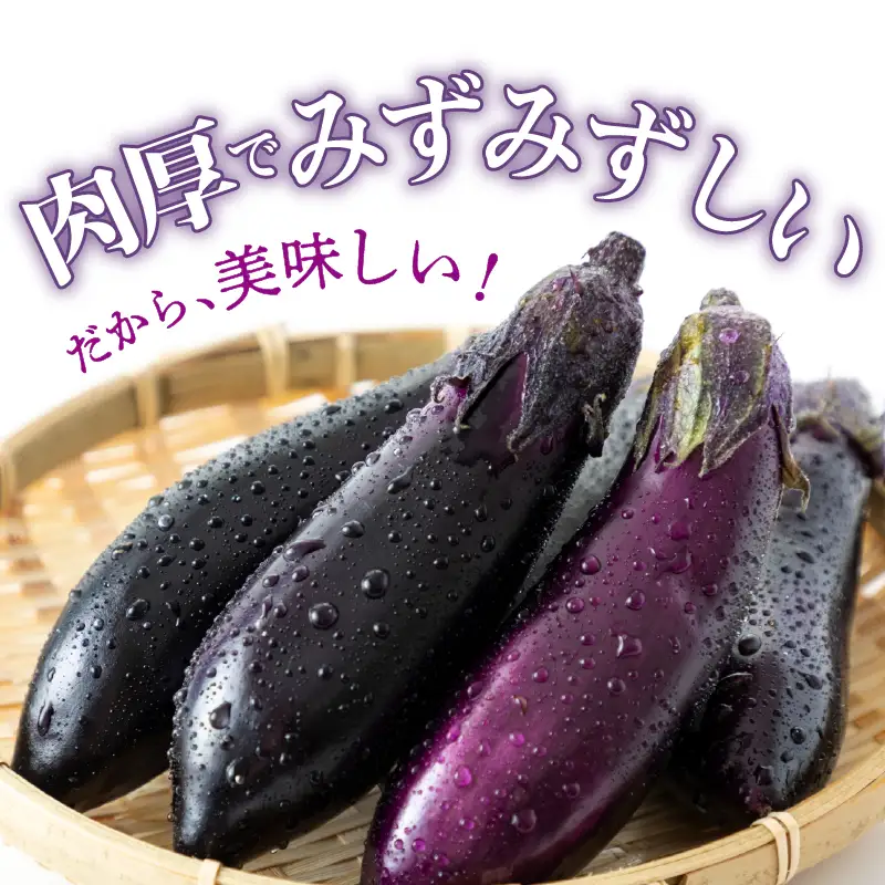 なす(千両茄子) 5kg