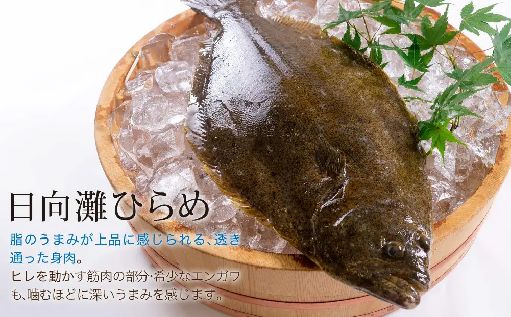 【北海道・離島配送不可】新鮮！ヒラメのお刺身(1尾分：約300g～400g) 魚介 海鮮 真空パック【UZ-04】【請関水産】