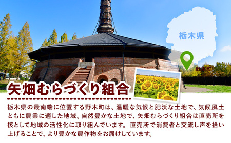 トマト小箱約2kg+ミニトマト小箱約1.5kg食べ比べ野菜新鮮矢畑