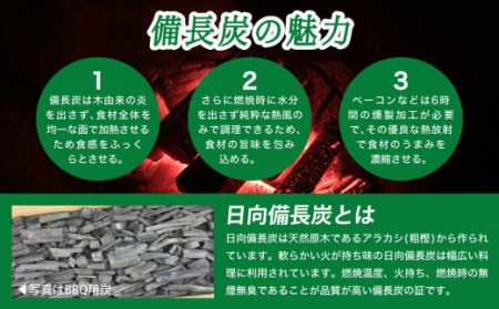 備長炭 緑仙白炭窯 日向備長炭 バーベキュー 用 2.5kg