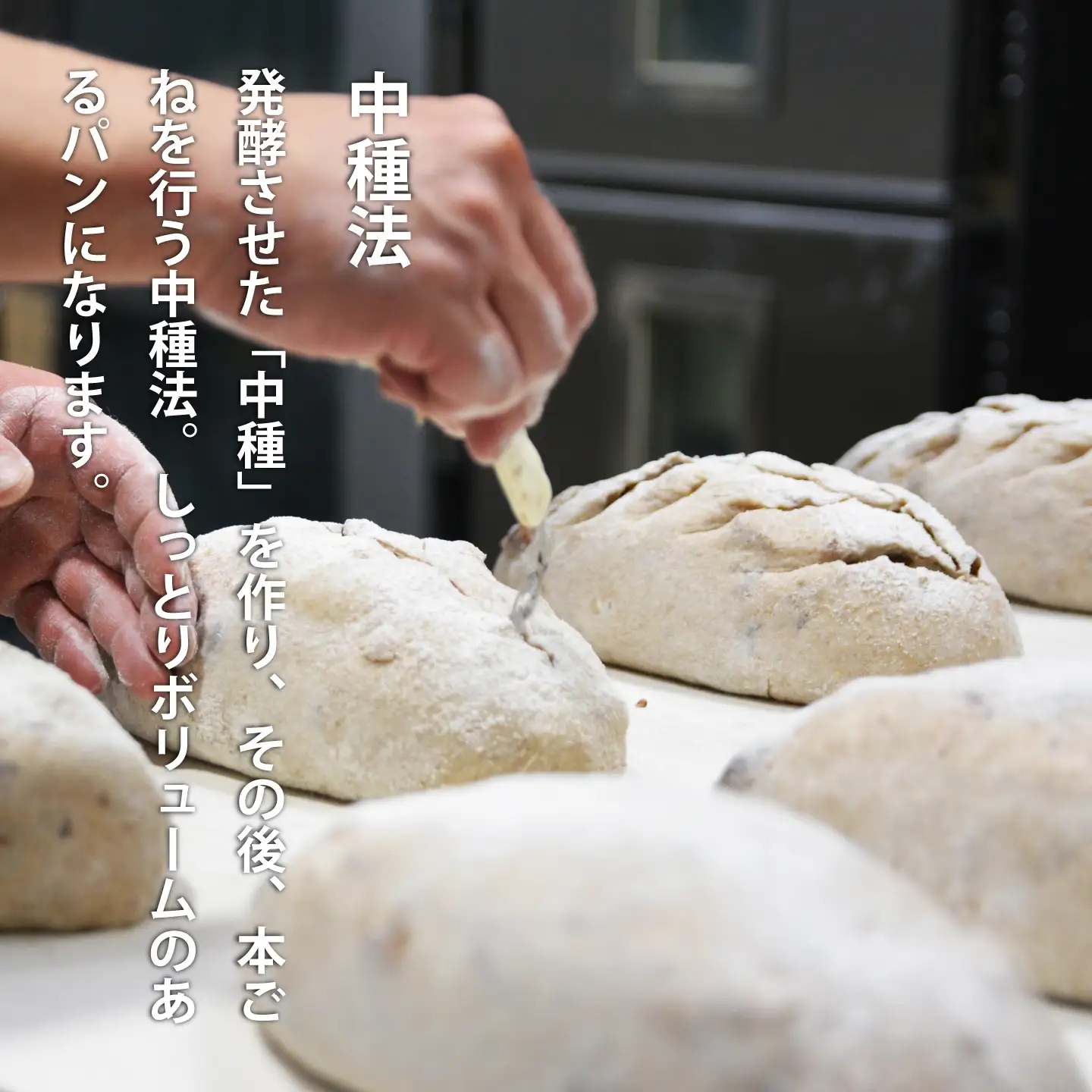 訳あり 北海道限定発送 パンセット ロスパン 冷凍パン パン 惣菜パン 菓子パン 食品ロス 北海道 当麻町 送料無料 森のパンやさん凜香【E-003】