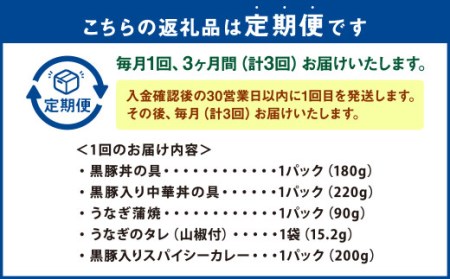 CS-809【毎月3ヶ月 : 定期便】鹿児島県産 黒豚・うなぎ 簡単調理（丼物）セット（レンジ対応）豚丼 中華丼 うなぎ 蒲焼 カレー レンジ 簡単 調理