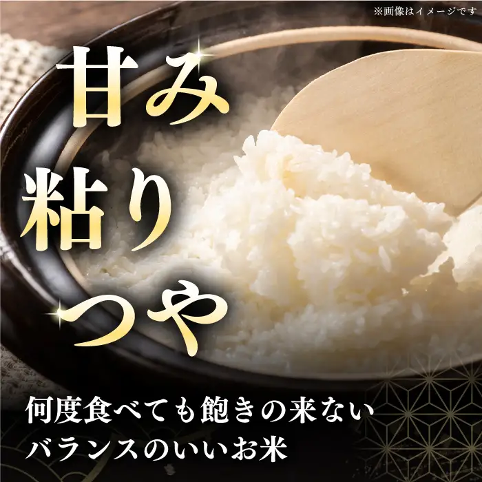令和7年産 令和8年産 【全12回定期便】ななつぼし [たんとう米] 5kg 米 定期便 1年 12ヵ月 お米 白米 ご飯 ななつぼし 北海道 [AXAB020]