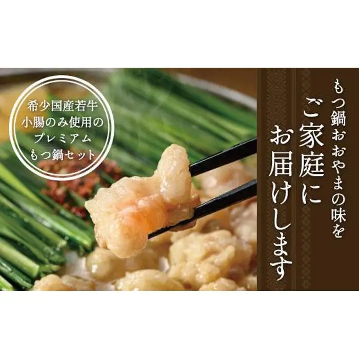 【定期便4ヶ月】福岡売上No1 博多もつ鍋おおやま もつ鍋みそ・しょうゆ (2人前)各2回お届け