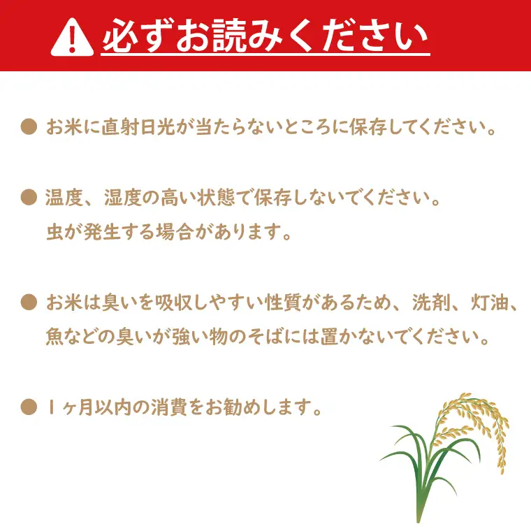 令和7年産 無洗米 茨城 コシヒカリ 10kg (5㎏×２袋)  米 精米 茨城県産_CU002