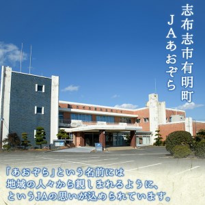 旬の野菜を閉じ込めた「ふるさと便」 a6-058