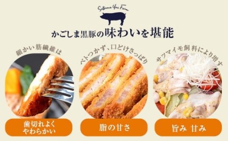 DS-002 かごしま黒豚ロース肉とバラ肉の焼肉セット 2kg（ご自宅用各1kg） SDGs未来都市薩摩川内 薩摩八重ファーム 工房みかく亭