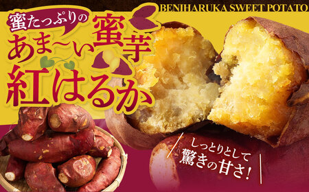 【10営業日以内発送】 紅はるか 冷凍焼き芋 1.2kg (300g×4袋) 鹿児島 冷凍 焼き芋 芋 いも ZSR-701