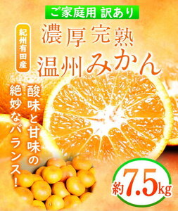【2026年11月下旬より発送】紀州 有田産 濃厚甘熟 温州みかん 7.5kg 【家庭用 訳あり】_G7345