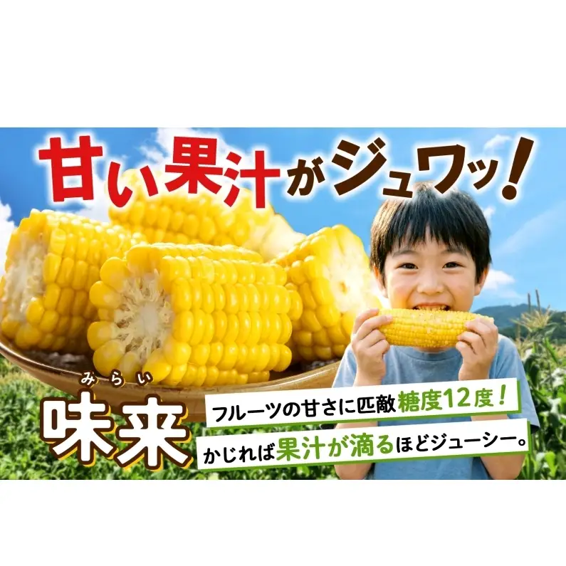 とうもろこし 味来 2Lサイズ 13本 約5kg 北海道産 朝もぎ イエロー コーン みらい