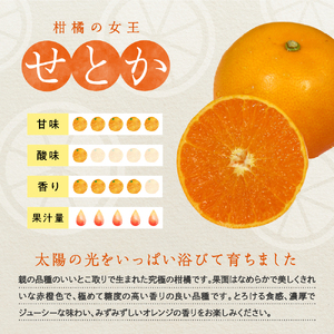 先行受付 2027年2月初旬～発送 広島県産 せとか 約5kg 柑橘