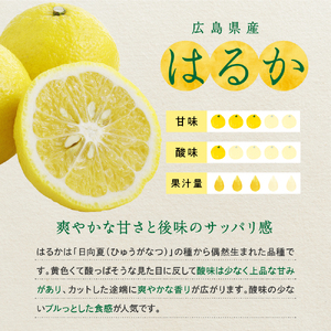 先行受付 2027年2月下旬～発送 はるか 約10kg 広島県 柑橘