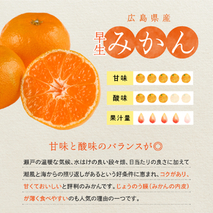 先行受付 2026年11月中旬～発送 早生みかん 約5kg 柑橘