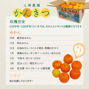 【先行受付】【2026年11月中旬～発送】上神農園 旬の柑橘詰め合わせ約10kg
