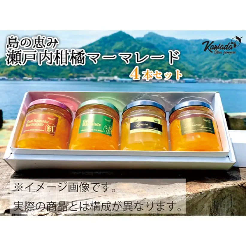 島の恵み 瀬戸内 柑橘 マーマレード 4本 セット  食べ比べ セット 紅八朔 レモン しらぬい ジャムセット シトラス お取り寄せグルメ 送料無料 広島県 呉市 ku055-002-r