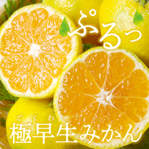 【2026年10月上旬～発送】川田柑橘園 呉市大長産 「極早生みかん」5kg ku055-004-26