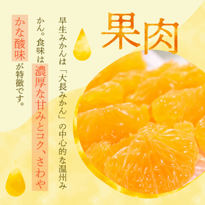 【先行受付】【2026年11月上旬～発送】川田柑橘園 広島大長産 「早生みかん」5kg ku055-005-26