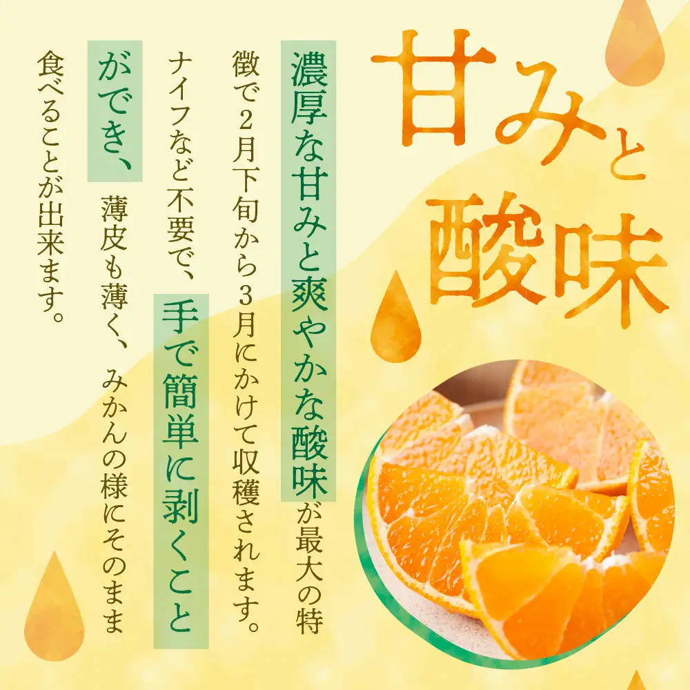 【先行受付】【2027年2月下旬～発送】川田柑橘園 呉市大長産 「不知火（しらぬい）」８kg　かんきつ 柑橘 お取り寄せ 産地直送 広島県 呉市  ku055-013-26