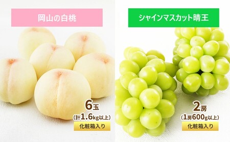 フルーツ 定期便 2027年 先行予約 フルーツ王国 岡山 ベストセレクト 2回コース 桃 もも 葡萄 ぶどう マスカット 岡山県産 国産 果物 セット ギフト 旬のフルーツ 果汁きめ細やか 岡山の白桃 晴王 