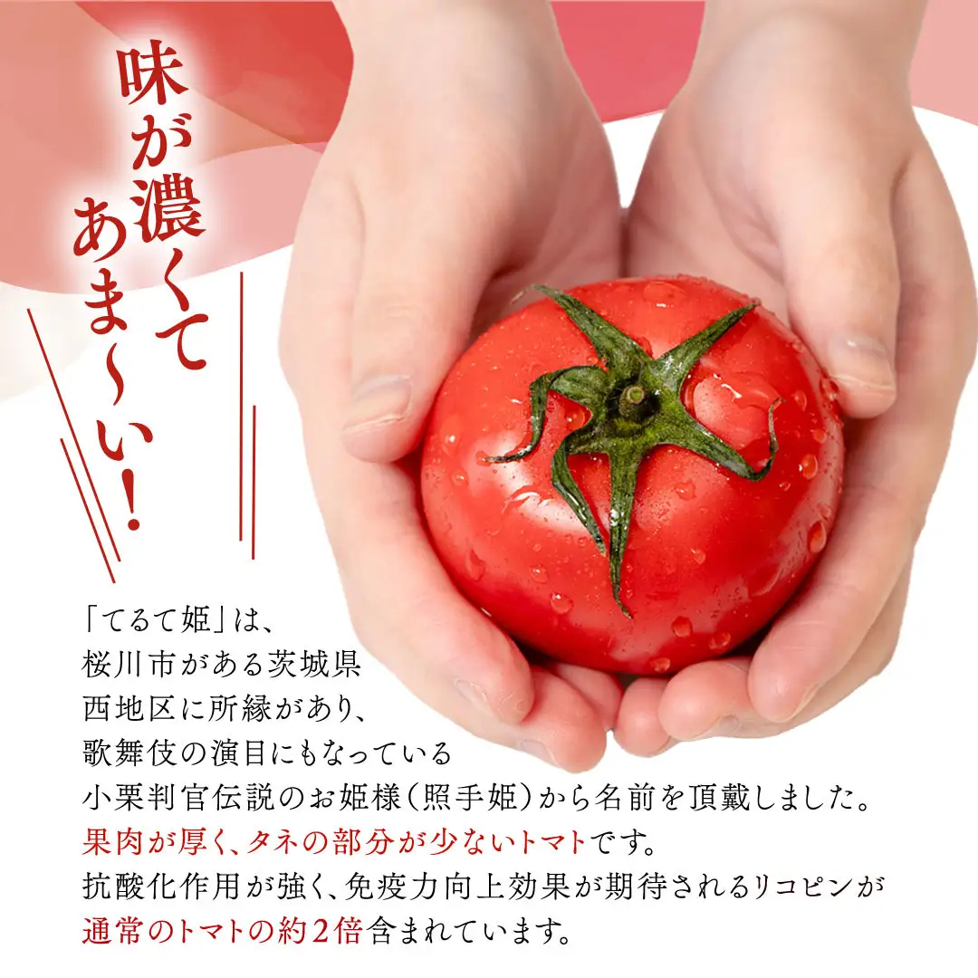《 2027年 収穫分 》2～6月配送 スーパーフルーツトマト てるて姫 小箱 約800g × 1箱 【7～13玉/1箱】 糖度9度以上 先行予約 フルーツトマト ブランドトマト 野菜 ギフト 贈答 青空レストラン アド街ック天国 グッドモーニング 黄金のワンスプーン 昼めし旅 [BC065sa]