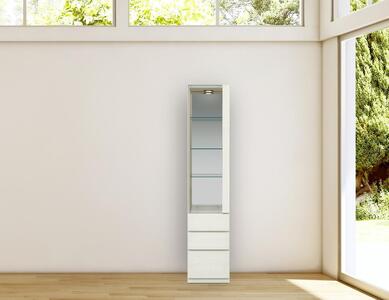 ヴァイス 幅40cm コレクションボード コレクション棚 左開き 壁面収納 リビング収納 ガラス棚 高級 大川家具 LEDライト【開梱設置】