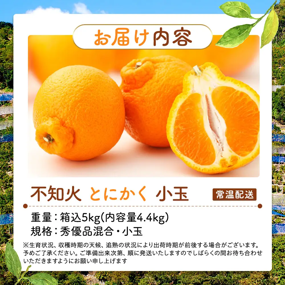 不知火 とにかく 小玉 箱込 5kg(内容量約 4.4kg) 秀優品混合 和歌山県産 産地直送［みかんの会］