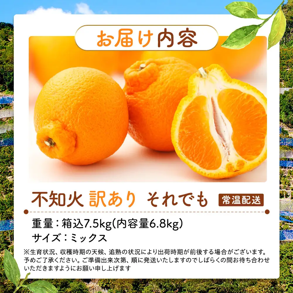 不知火 訳あり それでも 有田の不知火 箱込 7.5kg(内容量約 6.8kg) サイズミックス 和歌山県産 産地直送［みかんの会］