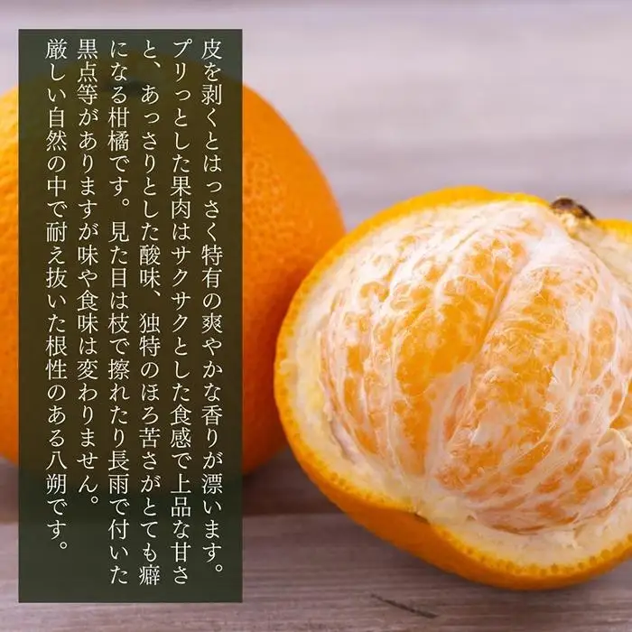 八朔 訳あり それでも 有田の八朔  (はっさく) 箱込 7.5kg (内容量約 6.8kg) サイズミックス B品 和歌山県産  産地直送［みかんの会］