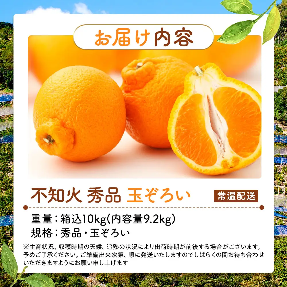 不知火 (しらぬい) 秀品 玉ぞろい 箱込 10kg (内容量約9.2kg)  和歌山県産 産地直送［みかんの会］
