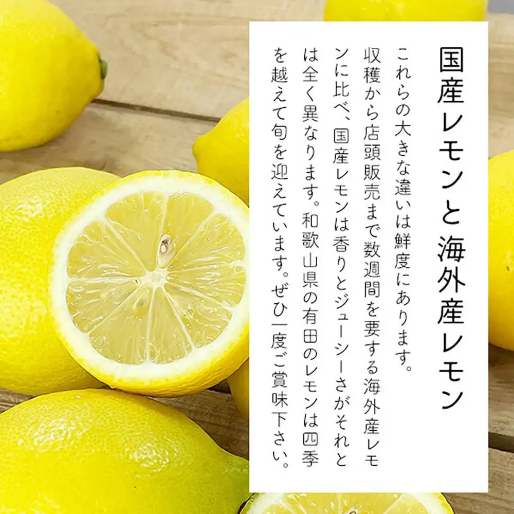 訳あり レモン B品  箱込2.5kg(内容量約2.3kg) 和歌山県有田産（サイズミックス）【みかんの会】