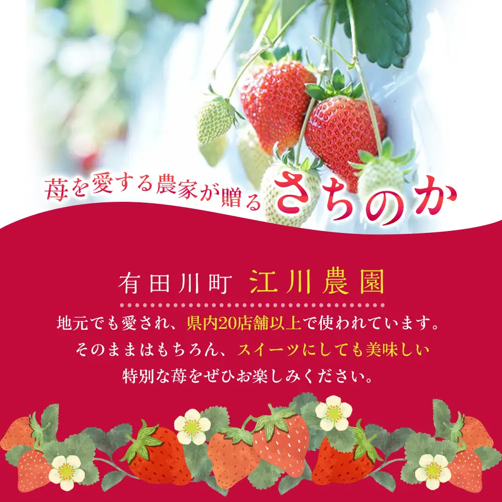 おいしさにこだわった いちご 苺 さちのか 300g × 4パック 合計 1.2kg 2L サイズ 江川農園