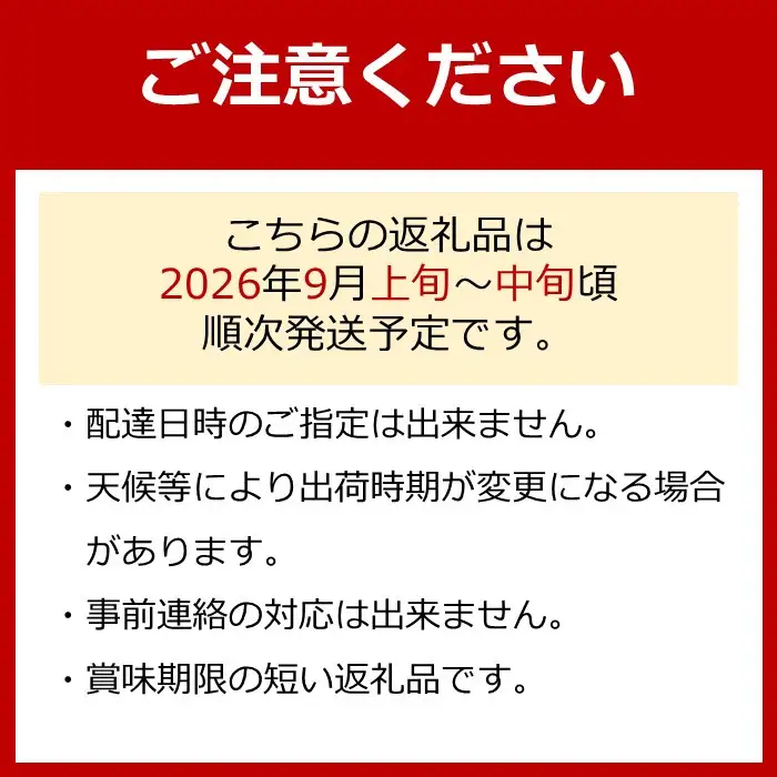 【先行予約】有田巨峰村三木と園の露地栽培あま～い種あり巨峰3kg | ぶどう