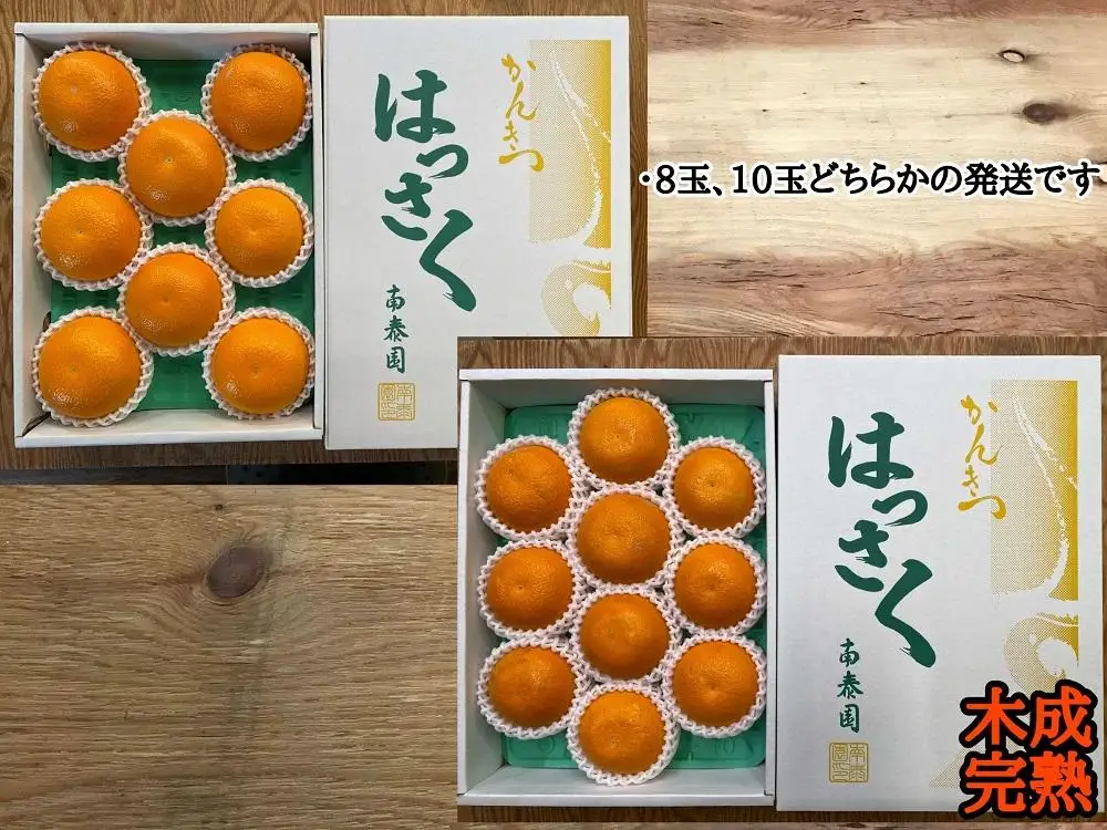 木成完熟 紅はっさく 特秀 L × 8玉 または M × 10玉 サイズ 化粧箱 南泰園【2027年4月上旬～発送】