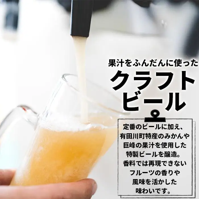 ブルーウッドブリュワリー定番と季節のおすすめセット（計6本）【3か月定期便】
