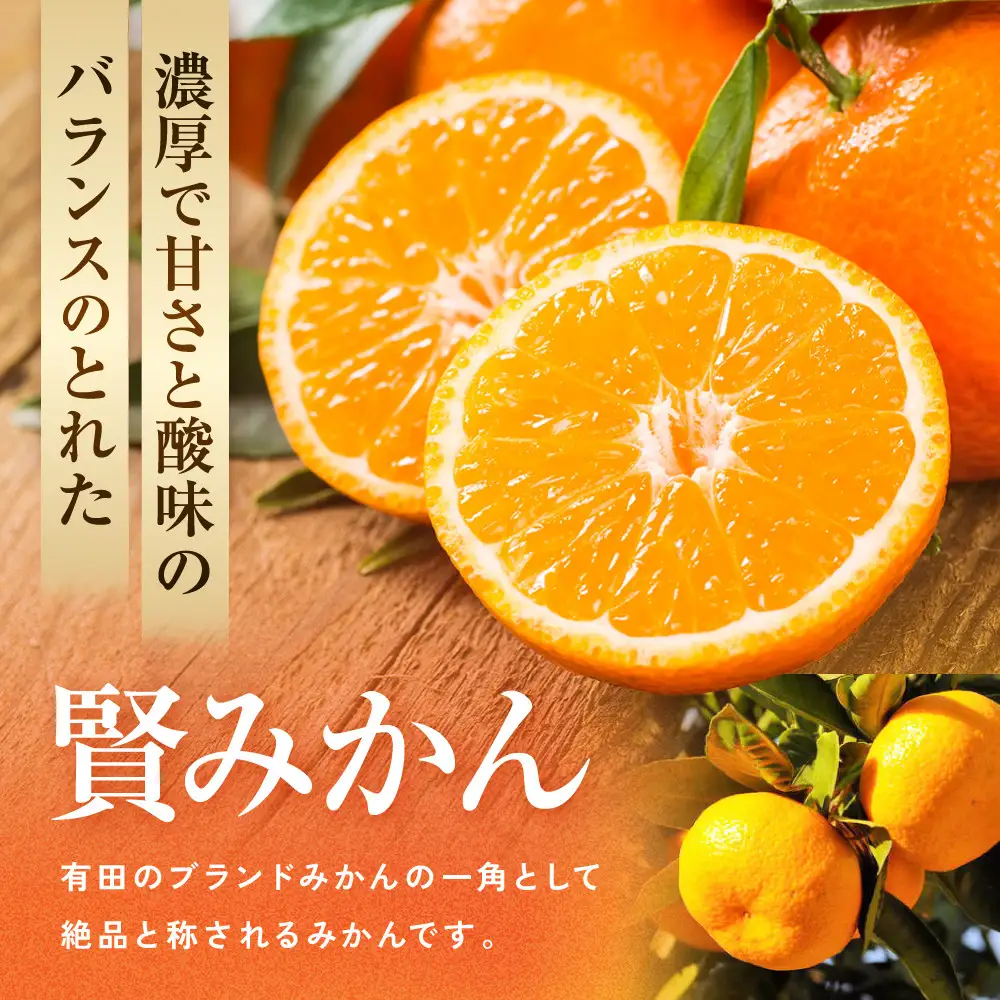 ［秀品]有田のブランド「賢みかん」10kg(Sサイズ)［2026年11月中旬頃より順次発送］