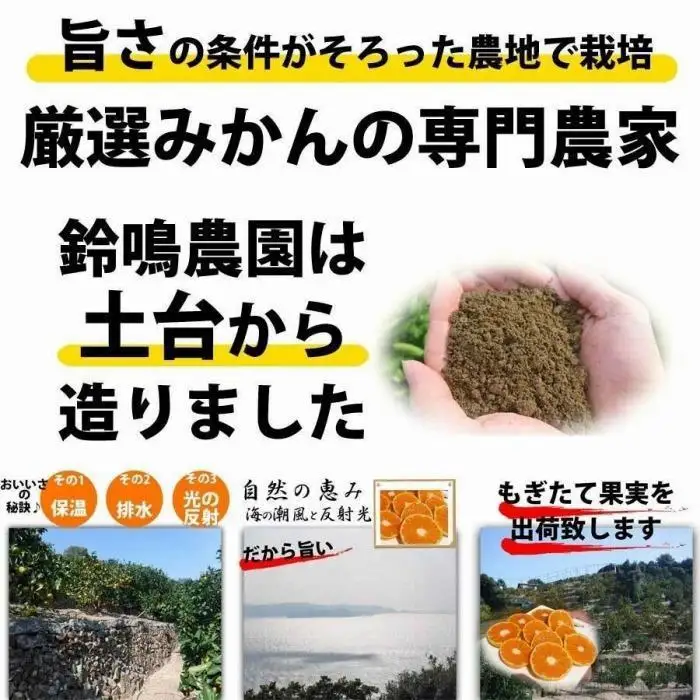 【ふるなびWEEK対象】みかん 2.5kg  ご家庭用　和歌山県有田川町産　有田みかん ありだみかん