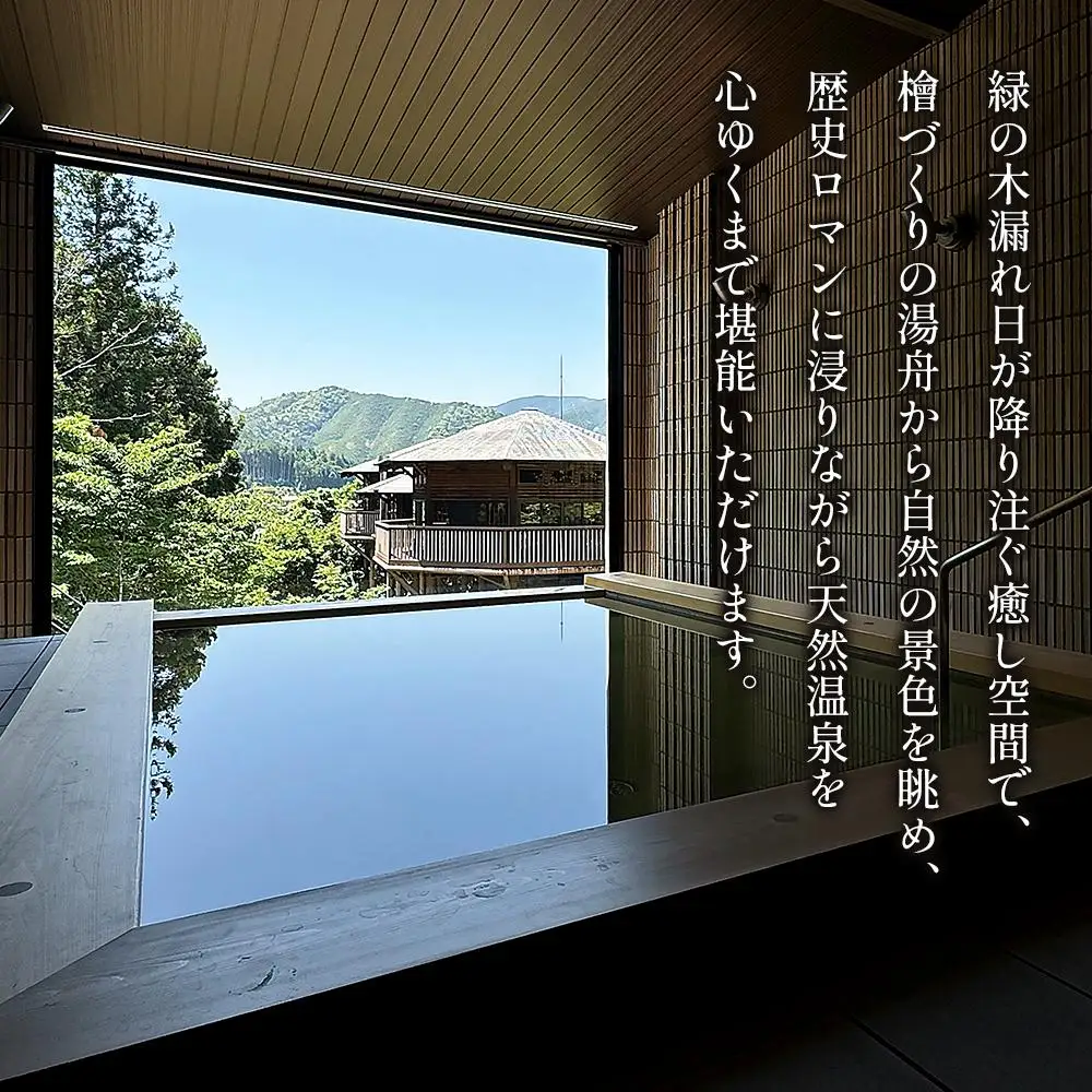 歴史ロマンの湯 しみず温泉 大人 入館券 11回分 入浴チケット 温泉利用券 観光 日帰り