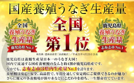 秘伝の特上スタミナうなぎ　白焼きセット c6-008