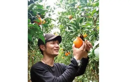 不知火 石本果樹園 約3.5kg 約8～12玉前後 不知火【min002B】