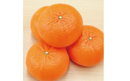 麗紅 石本果樹園 麗紅（レイコウ）約3kg 約18～20玉前後【min003C】