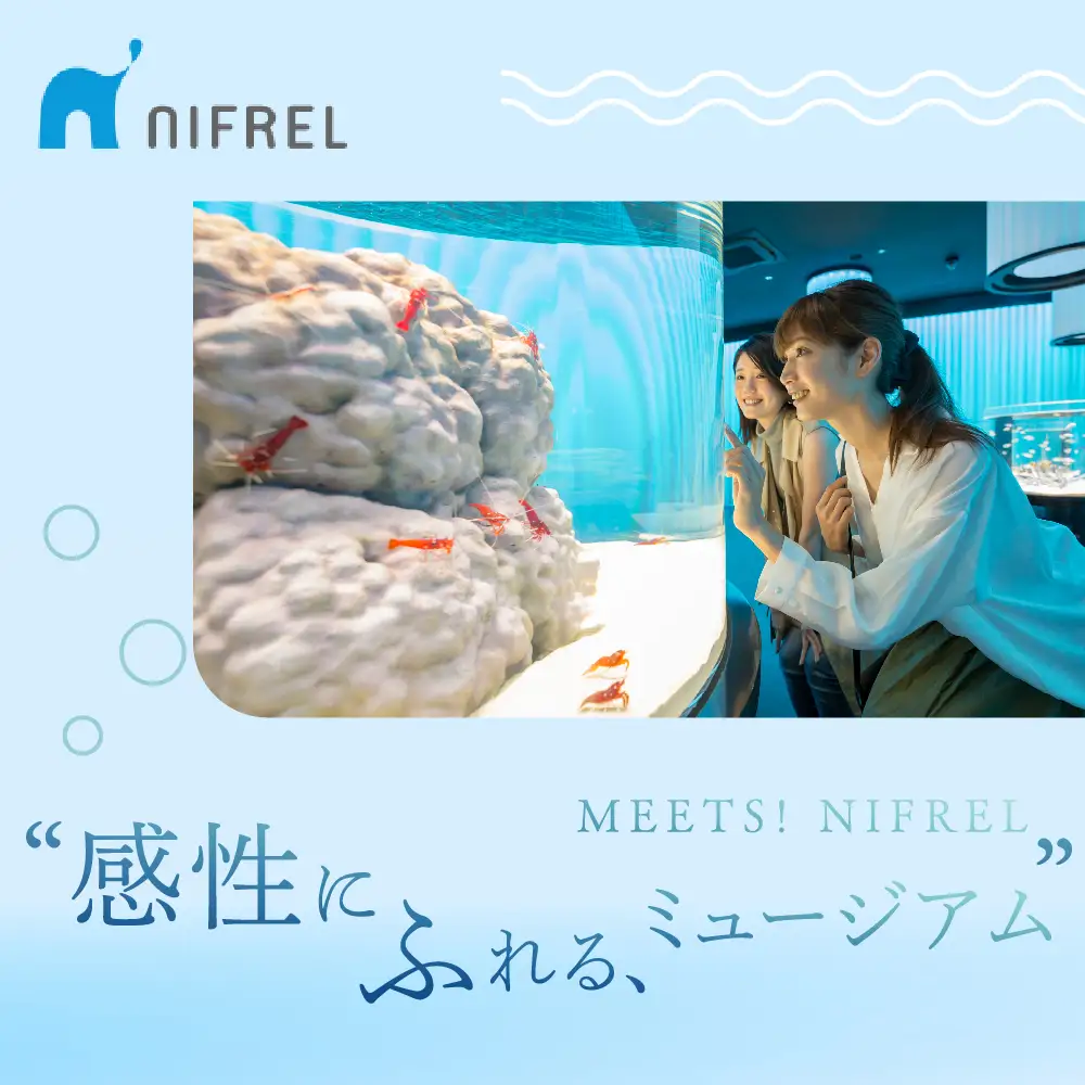 【大人1枚+こども1枚】生きているミュージアムNIFREL入館券